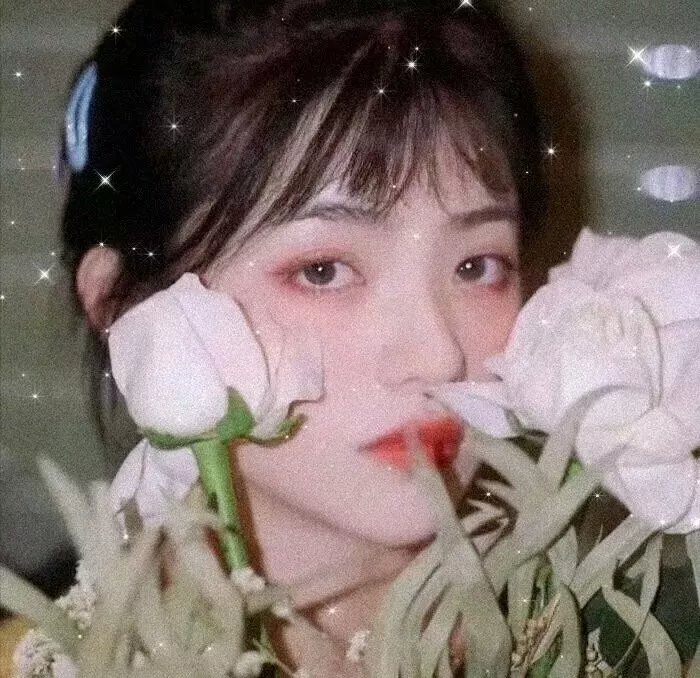 苍兰诀动画版